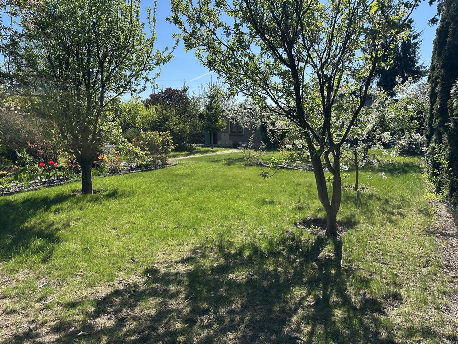 Działka ROD Kościan 506 m² | Prąd + woda | Gotowa do użytkowania - Widok 2