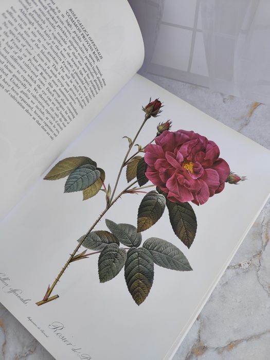 Книга Redoute's Roses