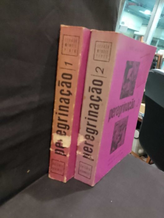 Peregrinação - Fernão Mendes Pinto (II Volumes)