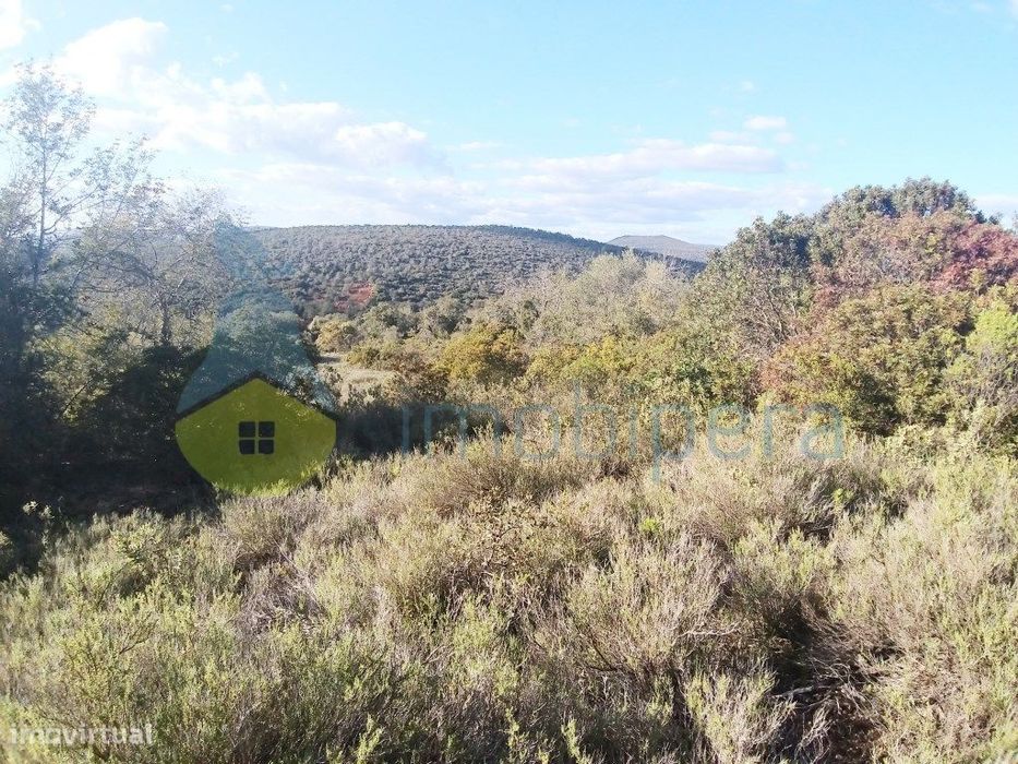Terreno fértil em zona rural, para agricultura, projeto florestal, ...