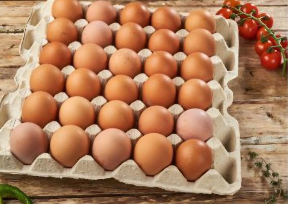 Продам домашние яйца