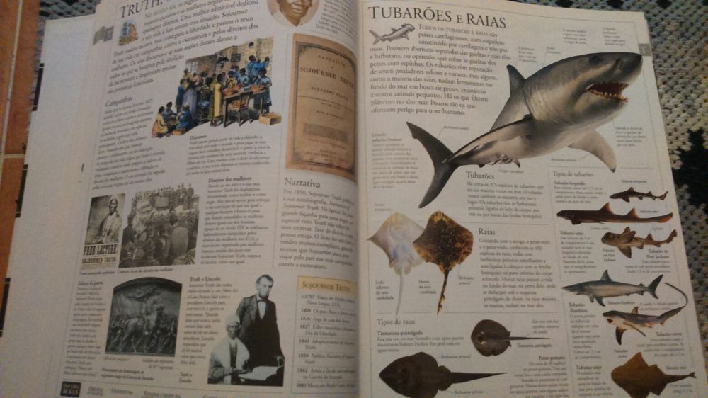 Enciclopédia ilustrada da família