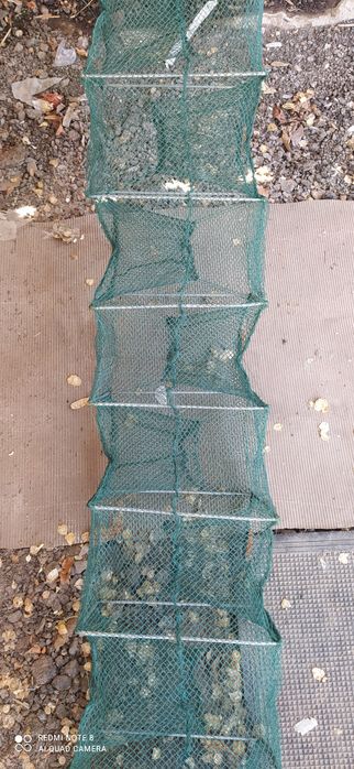 Раколовка гармошка 3.7 метра, рачница, кишка,баян.