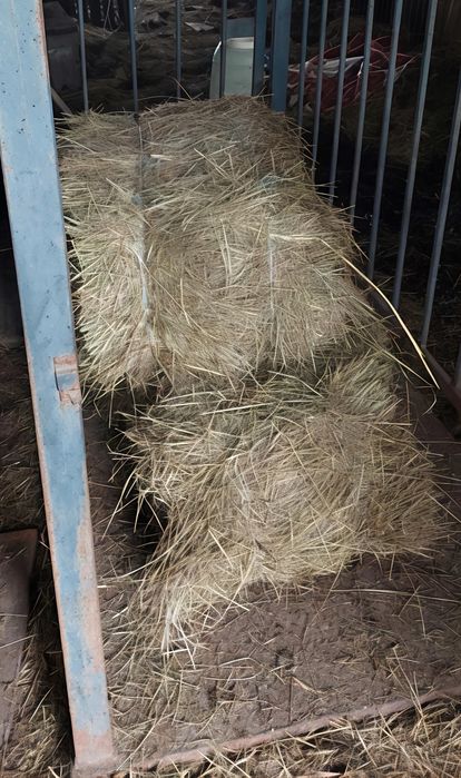Сіно лугове в тюках