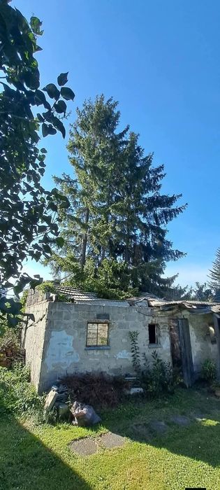 Wycinka drzew/Wyburzenia budynków