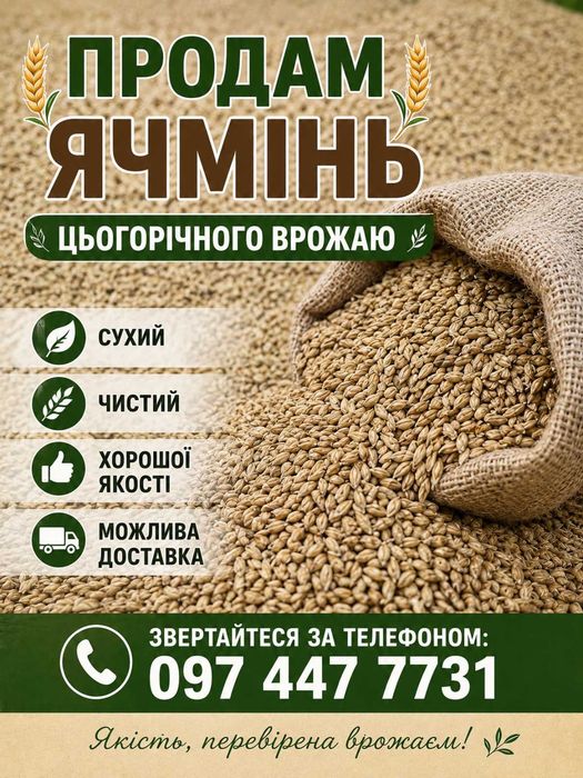 Пшениця ячмінь  2026р