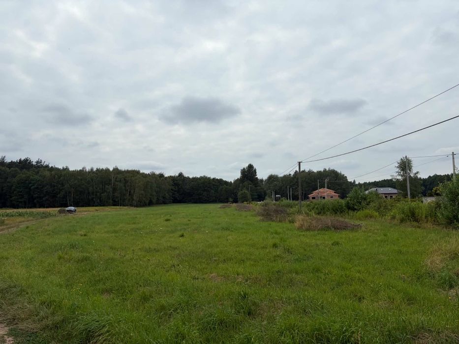 Dzuałki budowlane 15 ar Warunki zabudowy - Widok 3