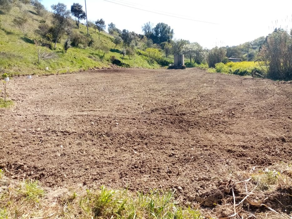 Terreno Rustico em Torres Novas