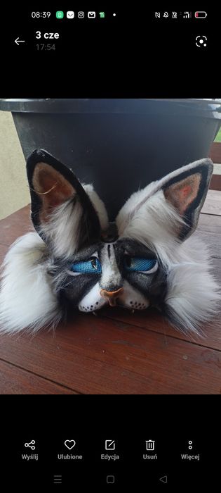 Maska  therian  kot uniwersalny