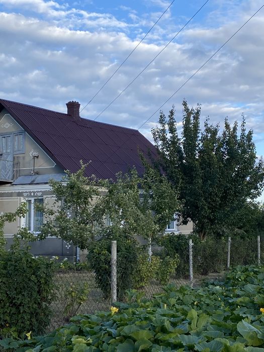 Миття фарбування дахів, фасадів, бруківки