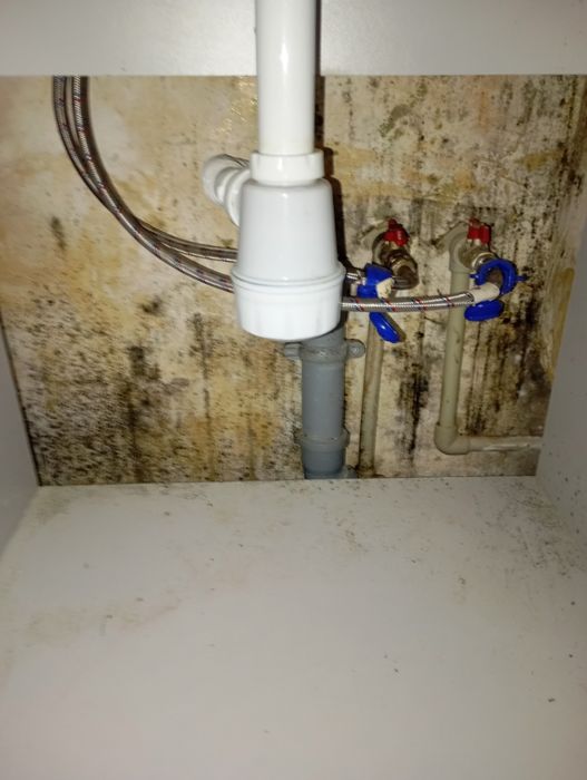 ‼️ПЛЕСЕНЬ Удаление Плесени Грибка Знищення Плісняви Запахів Озоном