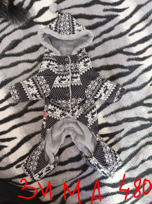 Одежа для собачки, маленьких порід