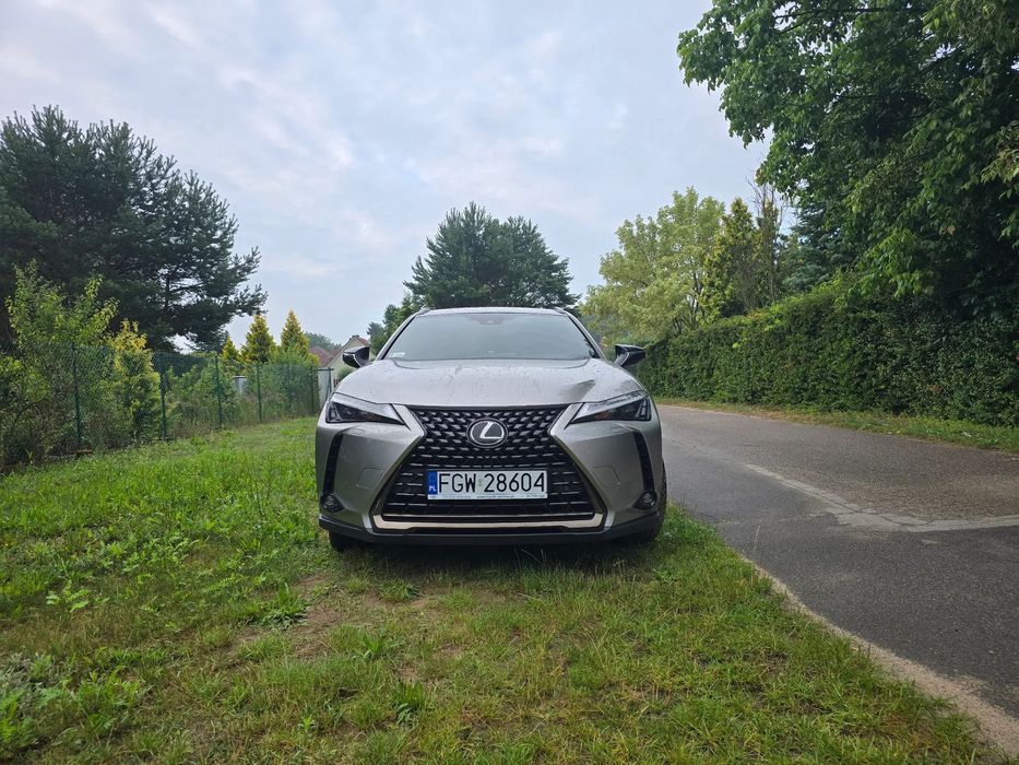 Lexus UX Lexus UX 200, Gwarancja Relax.Skóra,pierwszy właściciel.