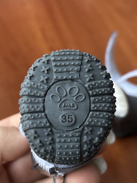 Взуття для собак