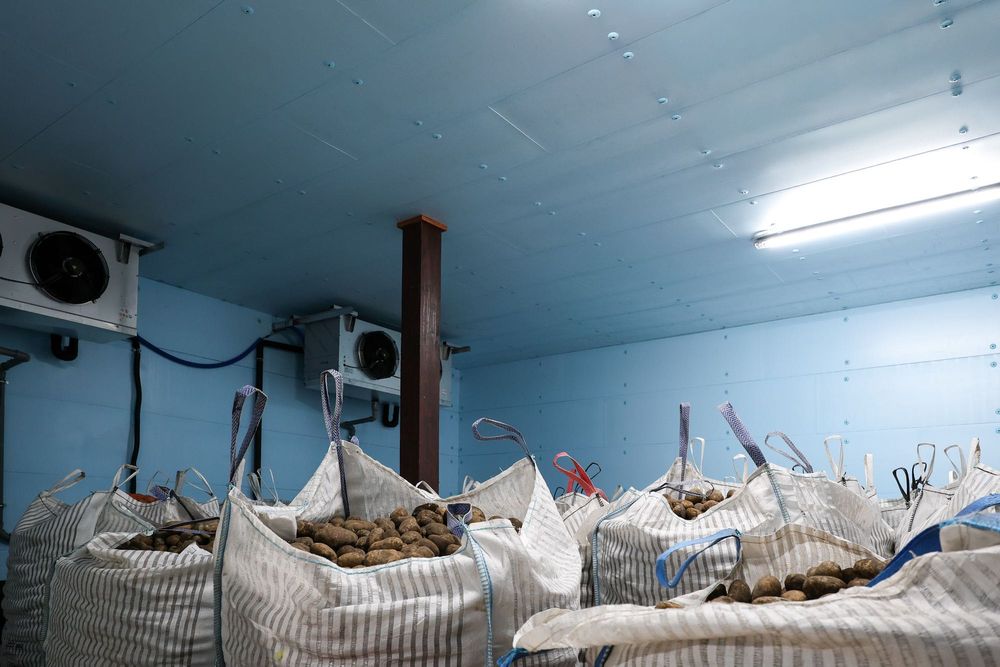 Izolacja Ocieplenie Dachu Ścian Sufitu Stropu Płyta STYRODUR XPS AGRO