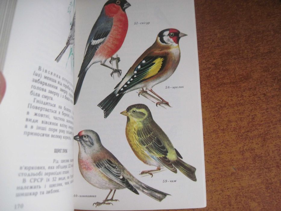 П. Гальченко. Пернаті друзі. Київ Урожай 1978 Зменешений формат