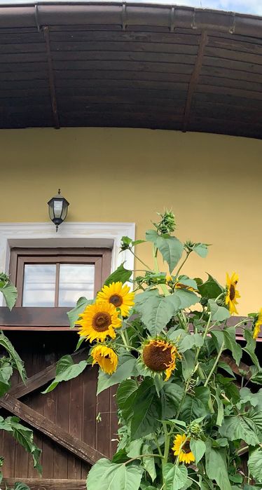 Продається будинок в центрі Старого міста