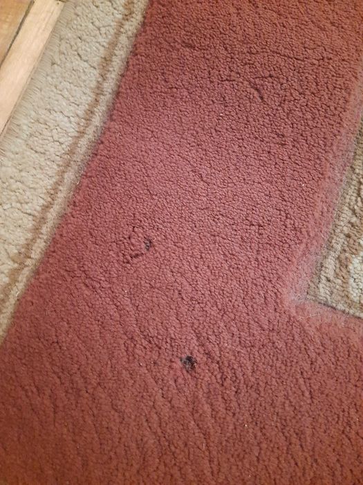 Dywan do salonu, jadaln