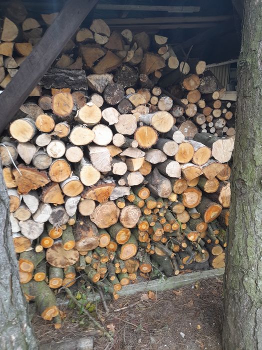 Drewno opałoe Brzoza grab