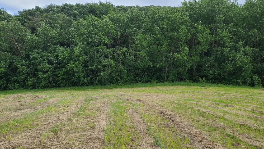 Продам земельну ділянку під лісом, біля озера