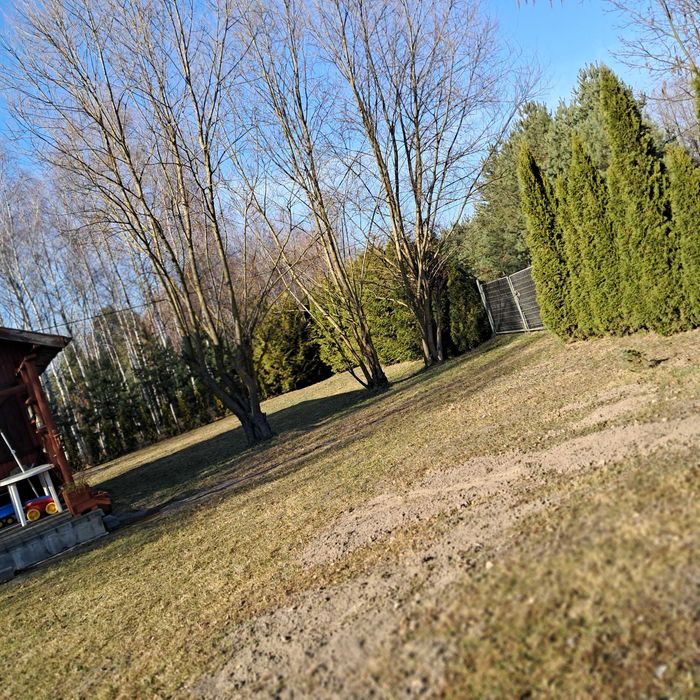 Domek na działce