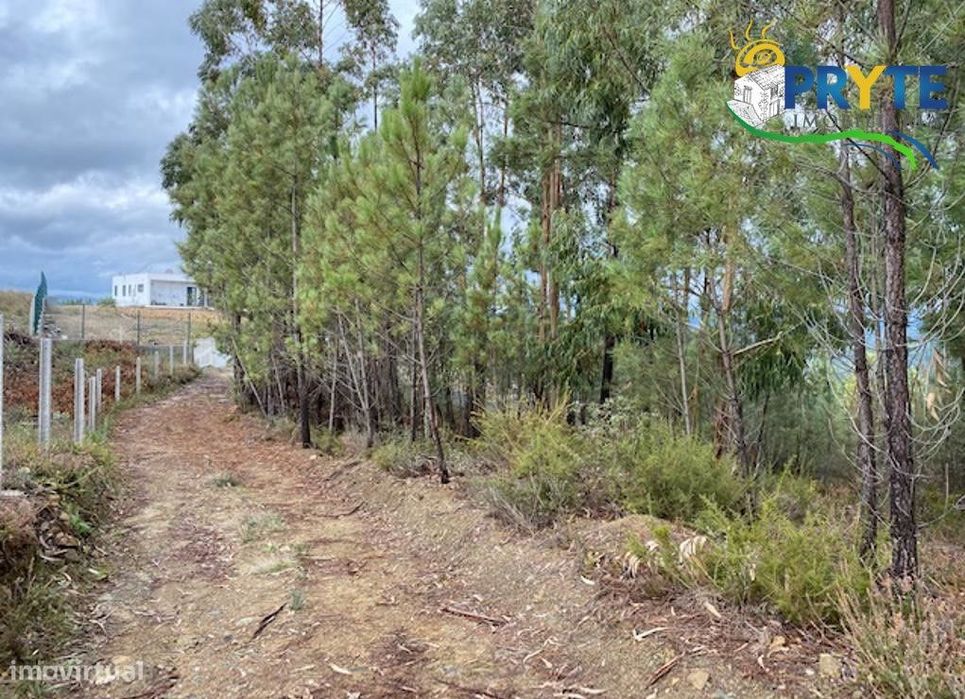 Terreno com 4100 metros quadrados situado perto da Sertã — Sertã, Castelo Branco