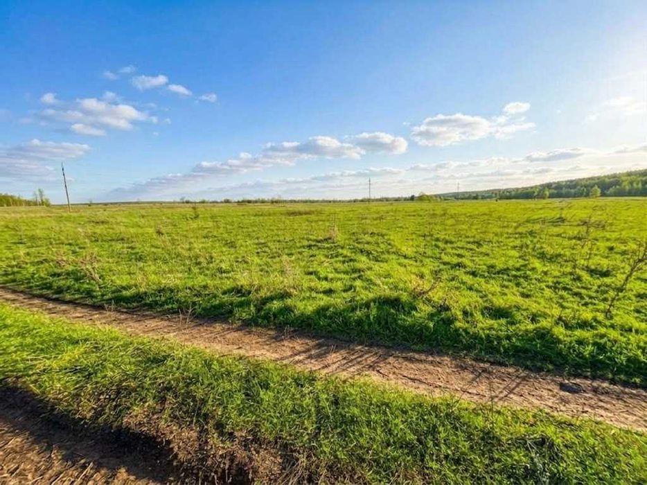 Продаж земельної ділянки 1,5982 га у Мироцькому !