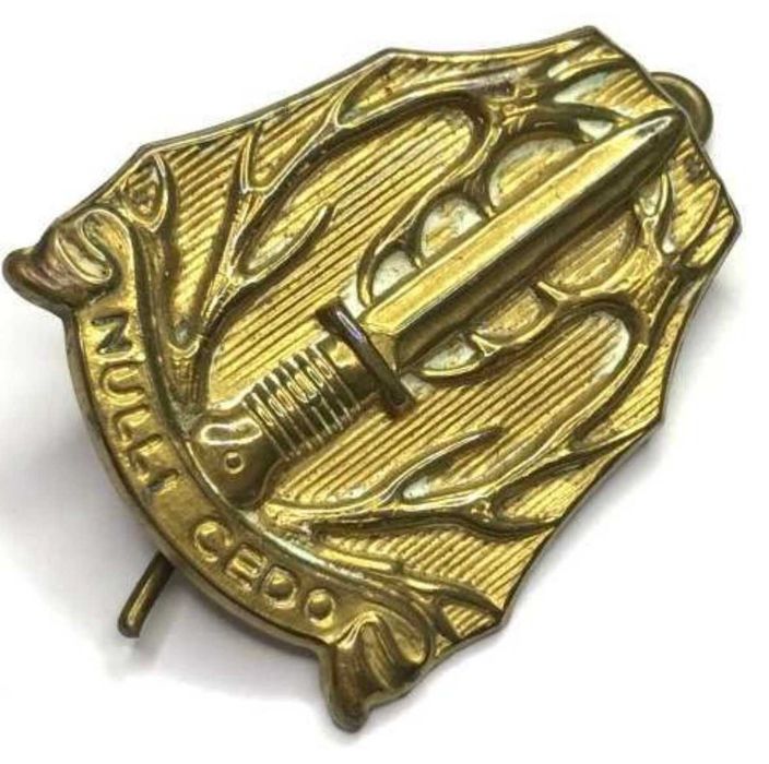 Distintivo de gola/ombreira vintage "Nulli Cedo" da infantaria do Exército Real Holandês (década de 1950)