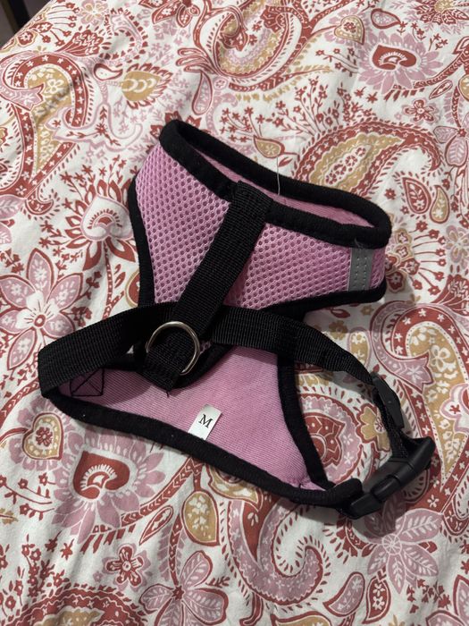 smycz dla psa Lubin akcesoria dla zwierząt OLX Zwierzęta