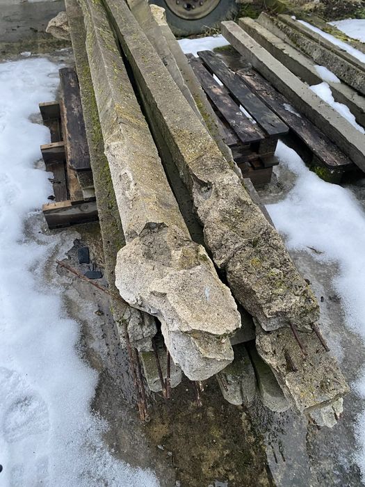 Słupki betonowe szpaler do sadu (oddam)