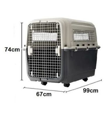 Caixa transportadora