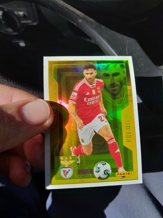 Rafa Premium Paninni