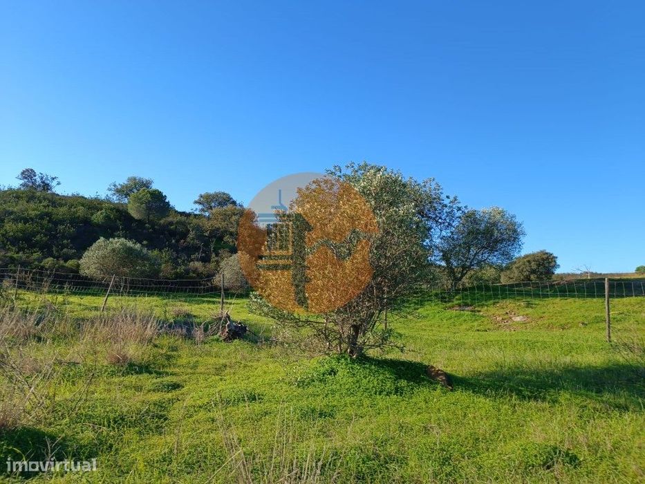 Terreno Com 12.180 M2 - Com Licença Para Furo - Pedra Arrancada - A...