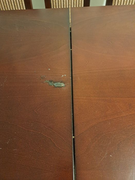 Stół i 8 krzeseł 160/200