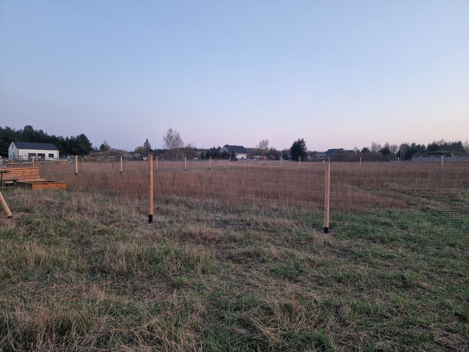 Ogrodzenie leśne budowlane tymczasowe siatka leśna budowlana GRATIS