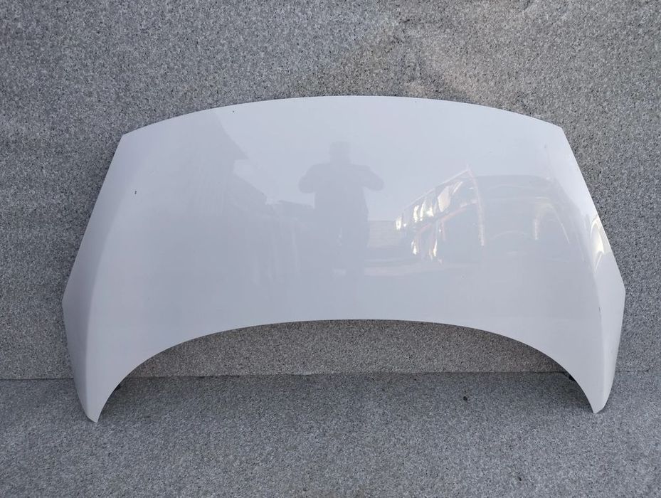 renault scenic iii lift 12-16r maska
