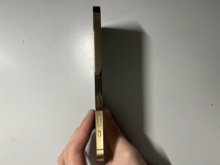 IPhone 13 Pro Max 1tb