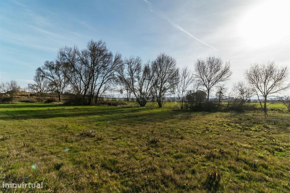 Terreno / Fundão, Alcaria