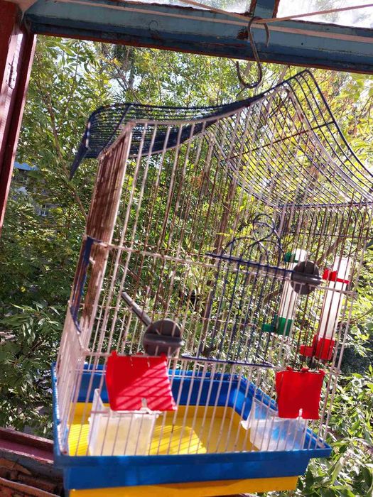 Две клетки для попугая: большая и маленькая