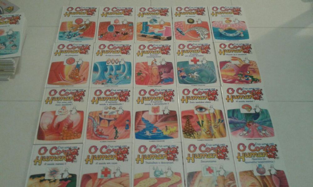 Livros infanto juvenis sobre O corpo humano  / Coleção O corpo humano
