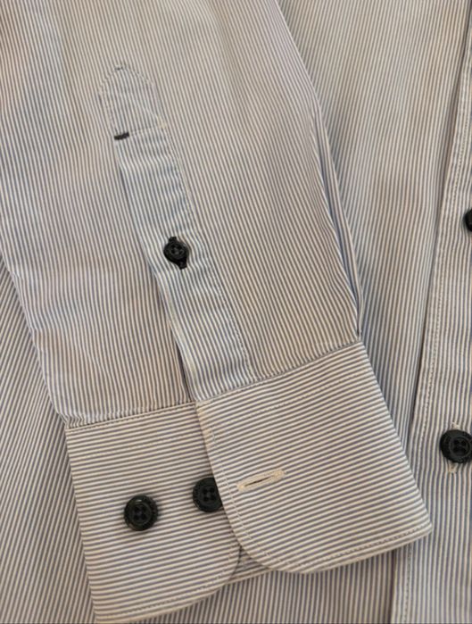 Camisa Lion of Porches