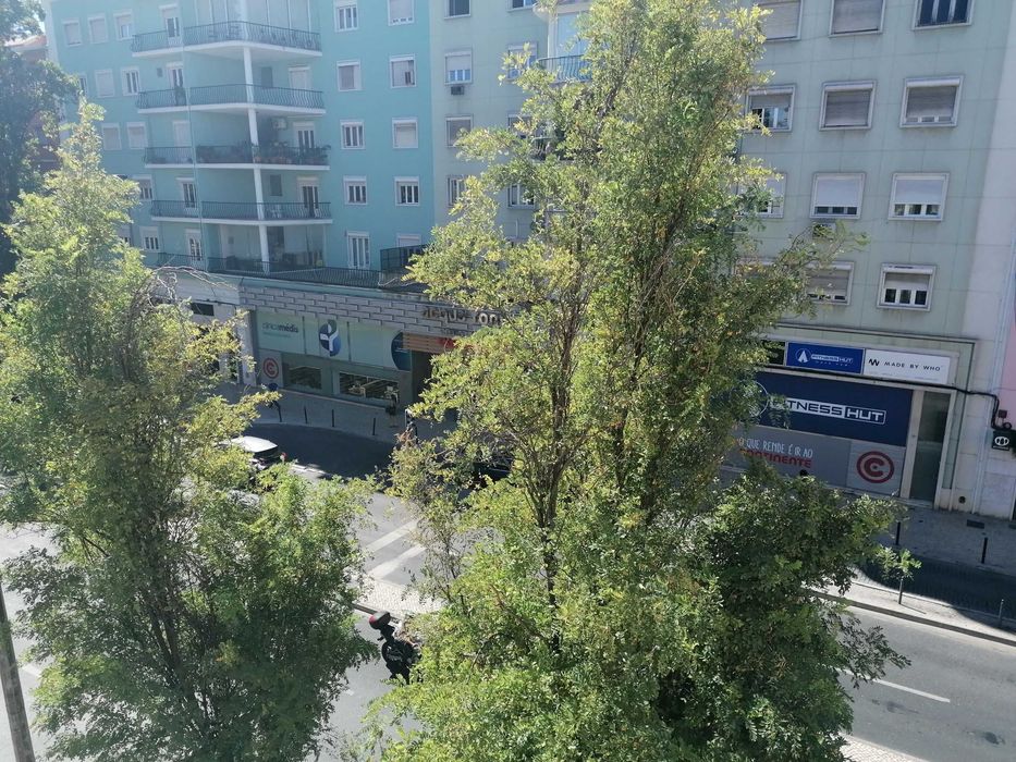 Quarto nas Avenida de Roma - Entrada a 1 Setembro