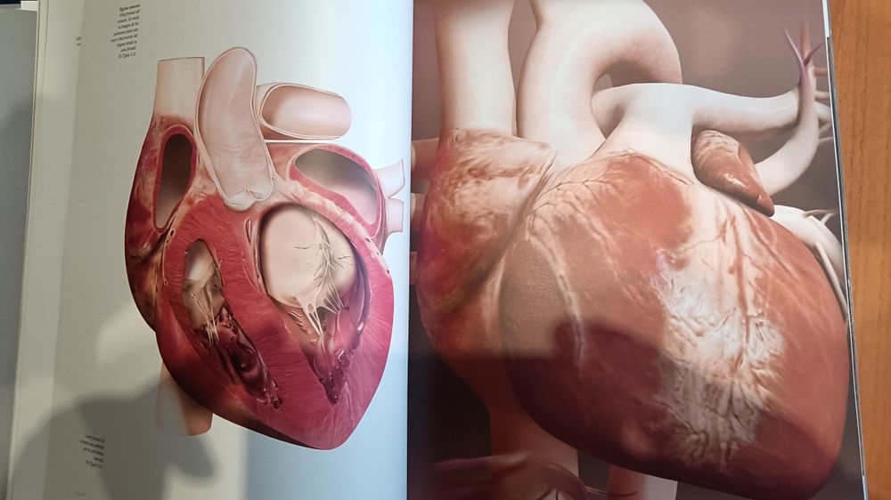 História del corazon