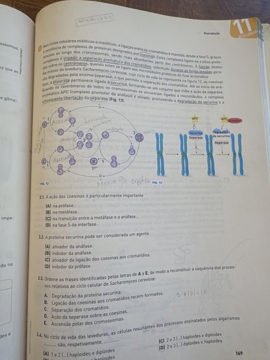 Livro de preparação para exame nacional BG Biologia e Geologia 11° ano