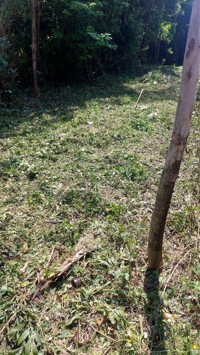 Limpeza de terrenos