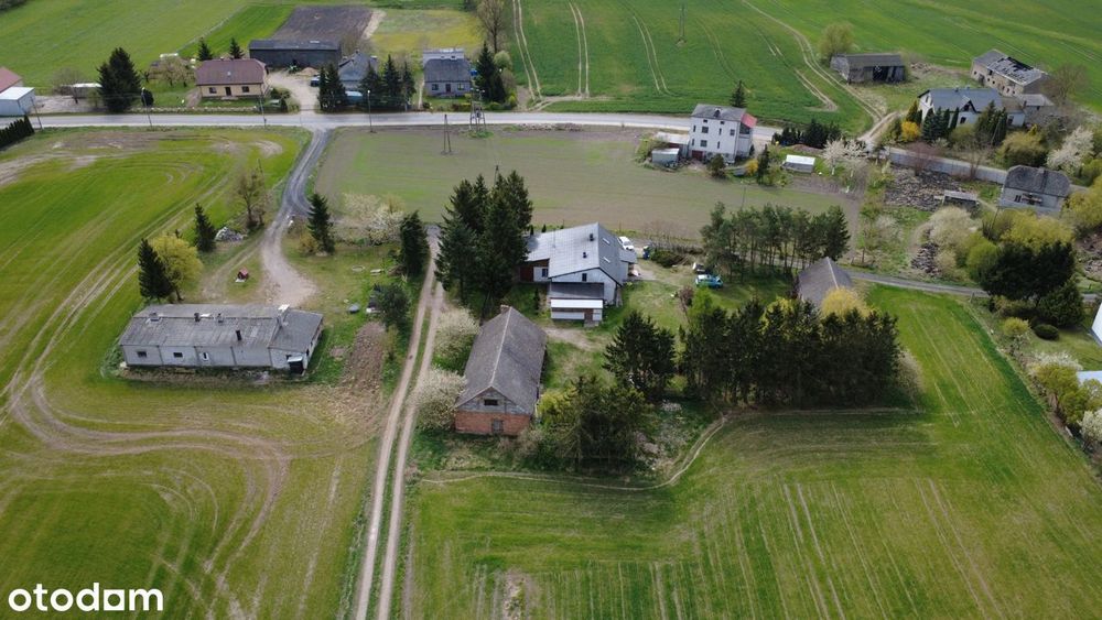 Dom dla dwóch rodzin na 1,8 ha – dwie niezależne księgi wieczyste - View 6