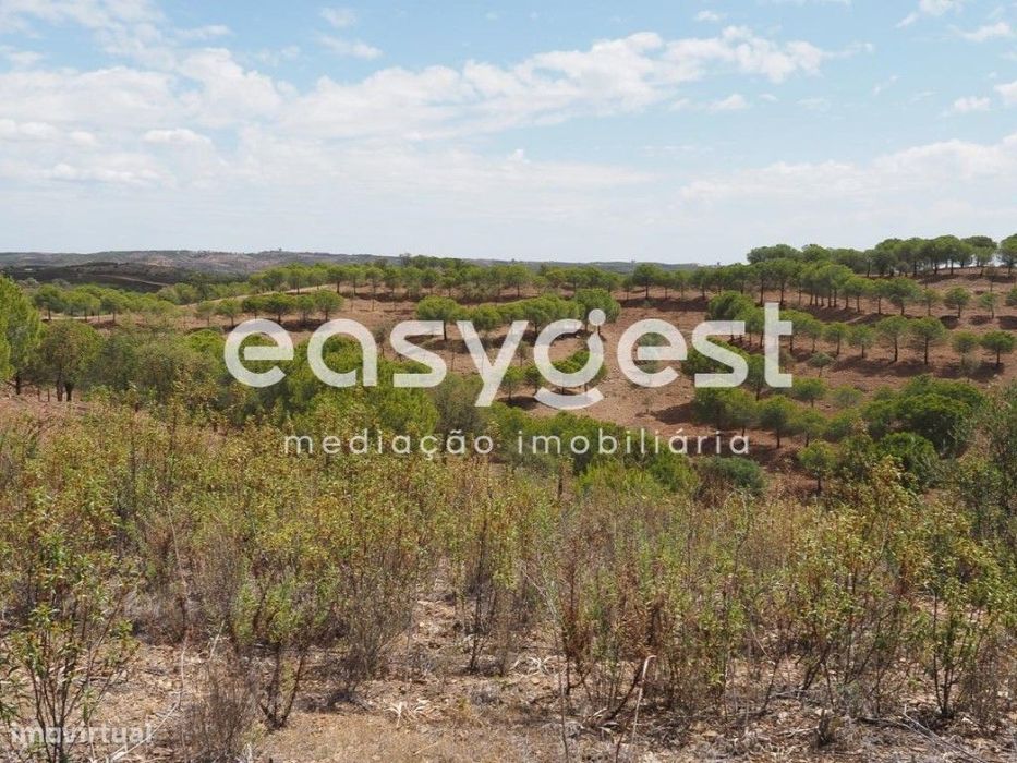 Terreno agrícola com pinheiros, oliveiras e sobreiros em Atalaias