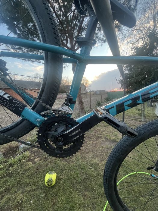 Trek marlin 5 kolor niebiesk