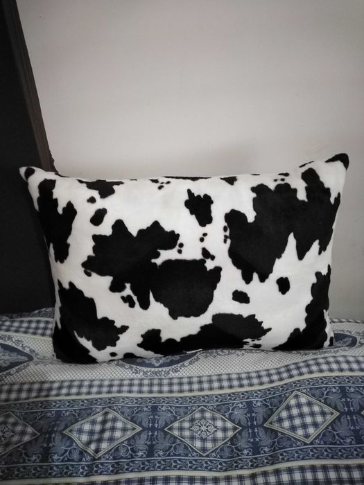 Almofadas decorativas de sofás