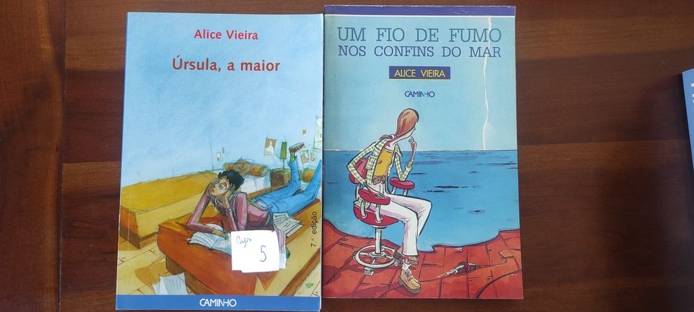 Conjunto Alice Vieira